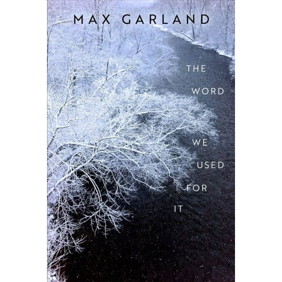 Wisconsin Poetry Series: The Word We Used For It (Paperback)