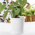 thumbnail image 2 of Plastic Planter Pot Orchid Pots with Holes Mesh Net Orchid Planter Flower Pots with Trays, 2 of 11