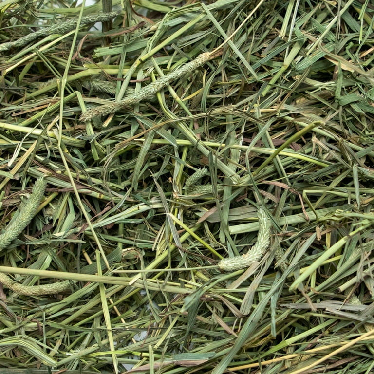 ラビットヒル　秀　10キロ Rabbit Hole Hay Ultra Premium Medium Timothy Hay - Walmart.com