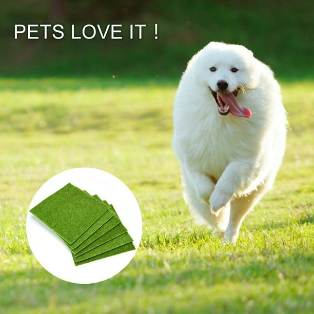 Zaqw Artificial Grass Indoor Outdoor Garden Lawn Landscape Synthetic Grass Mat Fake Grass Thick Lawn Synthetic Turf Professional Dog Grass Mat Outd