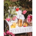 thumbnail image 3 of Sérum para el cuidado de la piel Little Seed Farm Elasticity 118 ml, 3 of 8