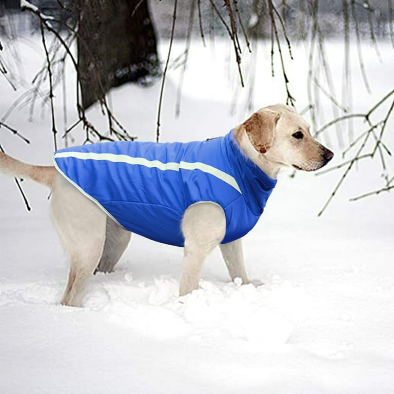 Queenmore Padded Vest Dog Jacket Windproof u0026 Snowproof Pet Fleece Lined  Warm Coats Reflective Outdoor Sport Apparel Clothing with Harness Hole  Winter Sweater with Zipper Suitable for Large Dogs - Walmart.com