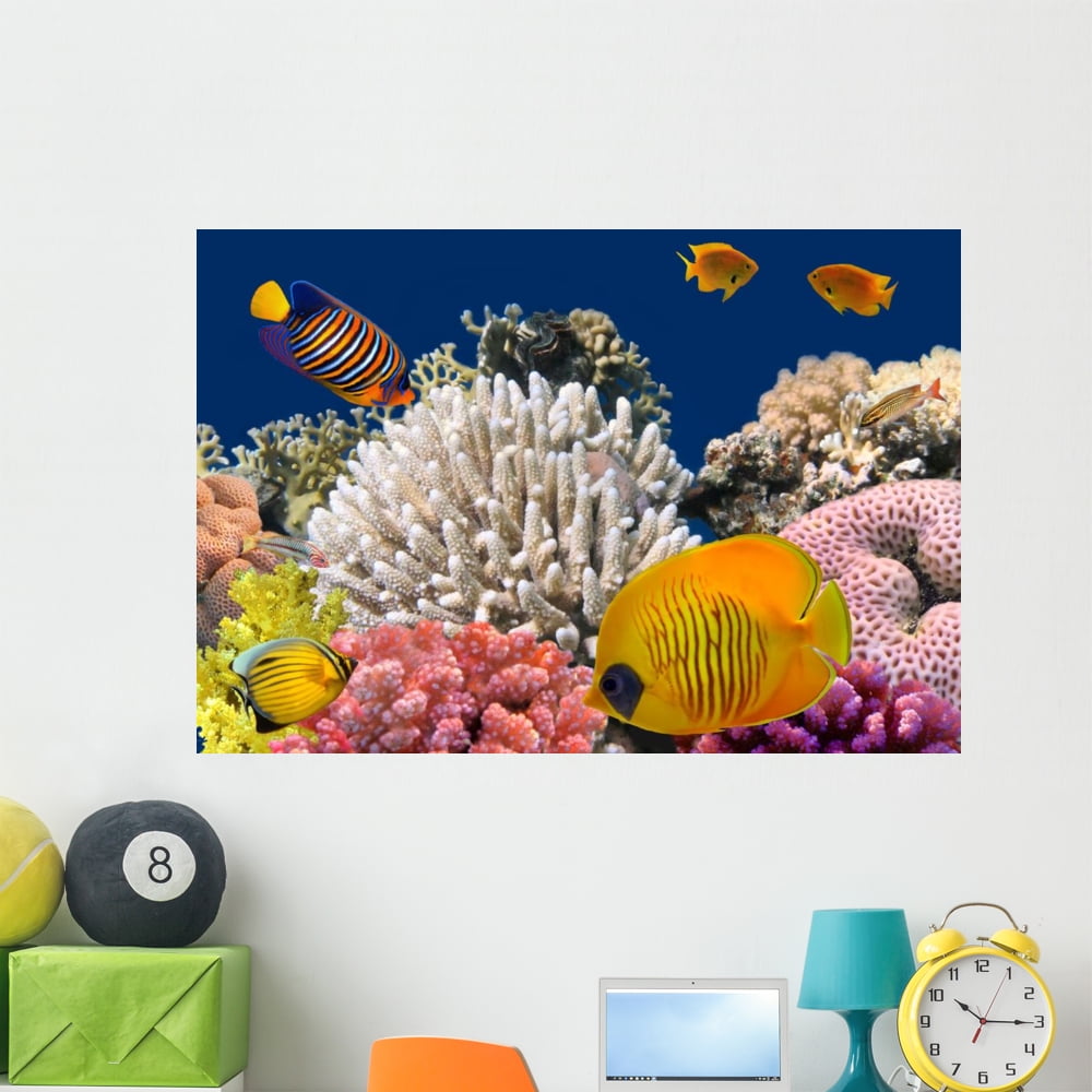 Underwater Life Hardcoral Reef Wall Decal by Wallmonkeys Peel and Stick Graphic (48 in W x 33