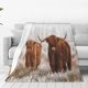 thumbnail image 1 of Balery Yak Manta de Felpa Suave y Acogedora – Cobija de Franela Aterciopelada para Cama, Lavable y Cálida para Sofá, Mascotas, Transpirable-40"x30", 1 of 7