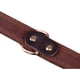 thumbnail image 3 of Collar de cuero personalizado para perro con placa de identificación / Cuero duradero y suave al tacto (L) 50CM-60CM, 3 of 5