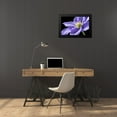 thumbnail image 4 of Veralli, Amalia Elena 24x17 Black Modern Framed Museum Art Print Titled - Purple Clematis, 4 of 5