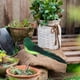 thumbnail image 3 of Adorno de espuma para jardín | Decoración realista de plantas de exterior simuladas de 25 x 5 x 6 cm, de hierro ligero y duradero | Ideal para jardín, balcón, hogar, eventos y manualidades, 3 of 6