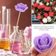 thumbnail image 1 of IDEANATEGRATE 200Ud Cabezas De Flores Artificiales De Espuma Púrpura Para Y Manualidades, 1 of 6