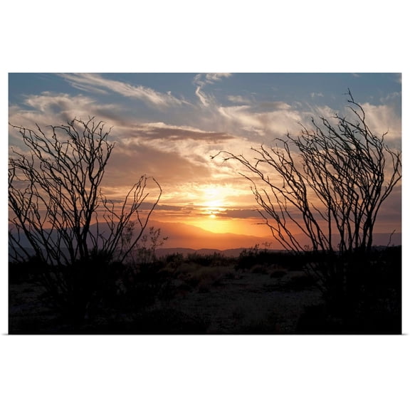 Great BIG Canvas | Rolled Erin Berzel Poster Print entitled Ocotillo Cactus II