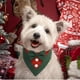 thumbnail image 3 of Corbatín navideño para perro FUAMEY, verde y rojo, talla XL, 3 of 5