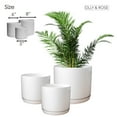 thumbnail image 6 of Matt White Flower Pots Garden Planters Set 3 Indoor outdoor ceramic plant pots round with Saucers, 6 of 7