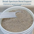 thumbnail image 2 of Rx Vitamins Renal Feline Beadlets - Cat Kidney Support with Astragalus Root and Milk Thistle for Cats - Supports Kidney and Immune Health in Cats - 3.52oz, 2 of 6