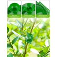 thumbnail image 3 of Boîte de Culture de Racines de Plantes 12 Pcs Dispositif d'Enracinement de Plantes Boîte de Racine à Boule de Propagation à Haute Pression Greffage Contrôleur de Racines Botanique pour Plantes Reproduction Asexuée pour Plantes d'Intérieur et d'Extérieur (S), 3 of 4
