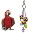 thumbnail image 5 of SPRING PARK Parrot Toys Nipple Swing Hanging, Bird Chewing Metal Rope Toy for Medium and Large Parrots, 5 of 7