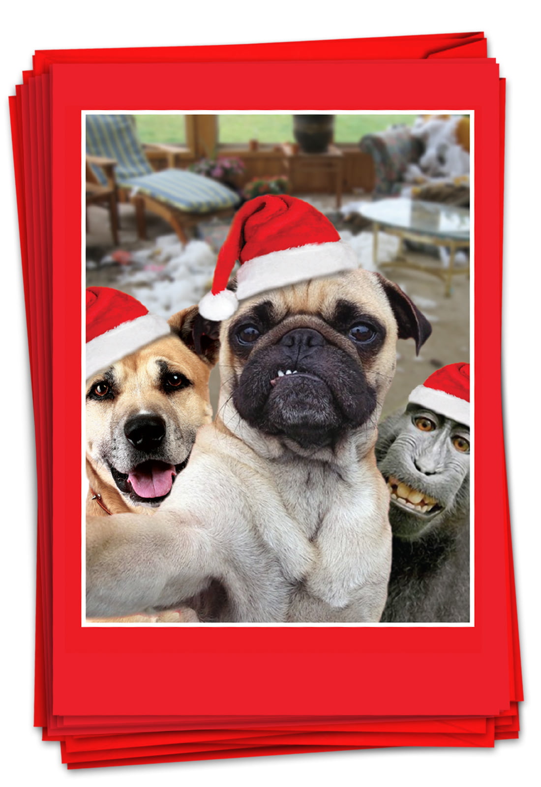 Animal Selfies 1 Design, 12 Cards 12 Boxed Merry Christmas Cards Bulk 