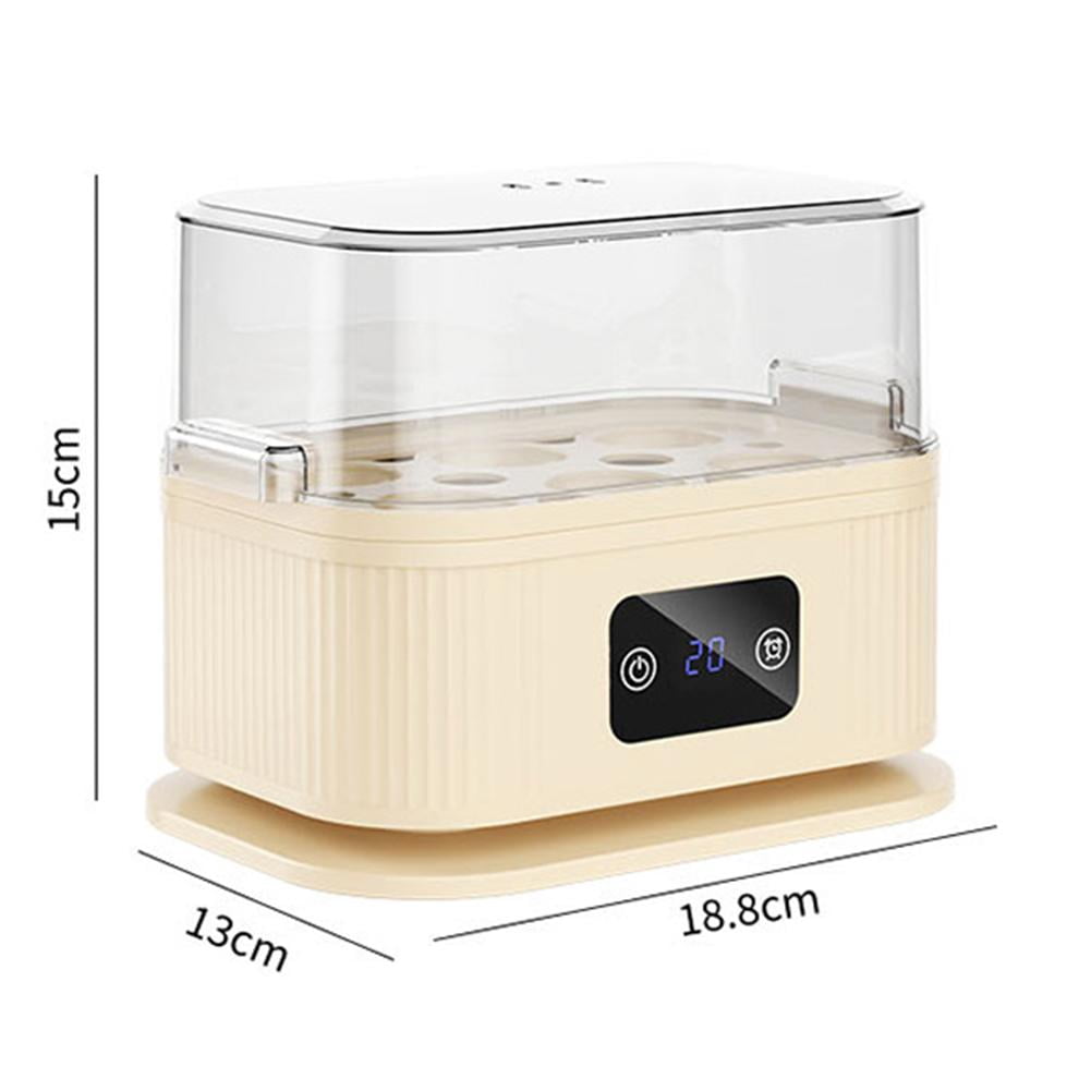 Multi-Functional Electric Egg Boiler, Rapid Hard Boiled Egg Maker for Student Dorms & Home Kitchen, Small Breakfast Steamer for Eggs, Fish & Vegetables, Mint Green Portable Food Steamer with Auto-Off