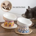 thumbnail image 6 of JanYoo Elevated Tilted Ceramic Cat Food Bowl with Anti Vomiting Feature for Cats, White (2 Pack), 6 of 6