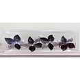 thumbnail image 2 of Fennco Styles Flower Rhinestone Metal Napkin Rings, Set of 4 – Silver Floral Napkin Rings for Home Décor, Dining Table, Family Gathering, Themed Party, Banquet and Special Occasion, 2 of 6
