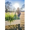 thumbnail image 6 of Zylina Raised Elevated Wood Garden Planter Collection - 48"(L) x 36"(W) x 22"(H), 6 of 10