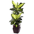 thumbnail image 1 of Nearly Natural Golden Dieffenbachia with Decorative Planter, Green, 1 of 3