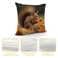 thumbnail image 4 of Pratyus Squirrel Flowers Pillow Cushion Covers for Sofa Couch Home Decor Square Short Plush 1PC 20x20in, 4 of 5