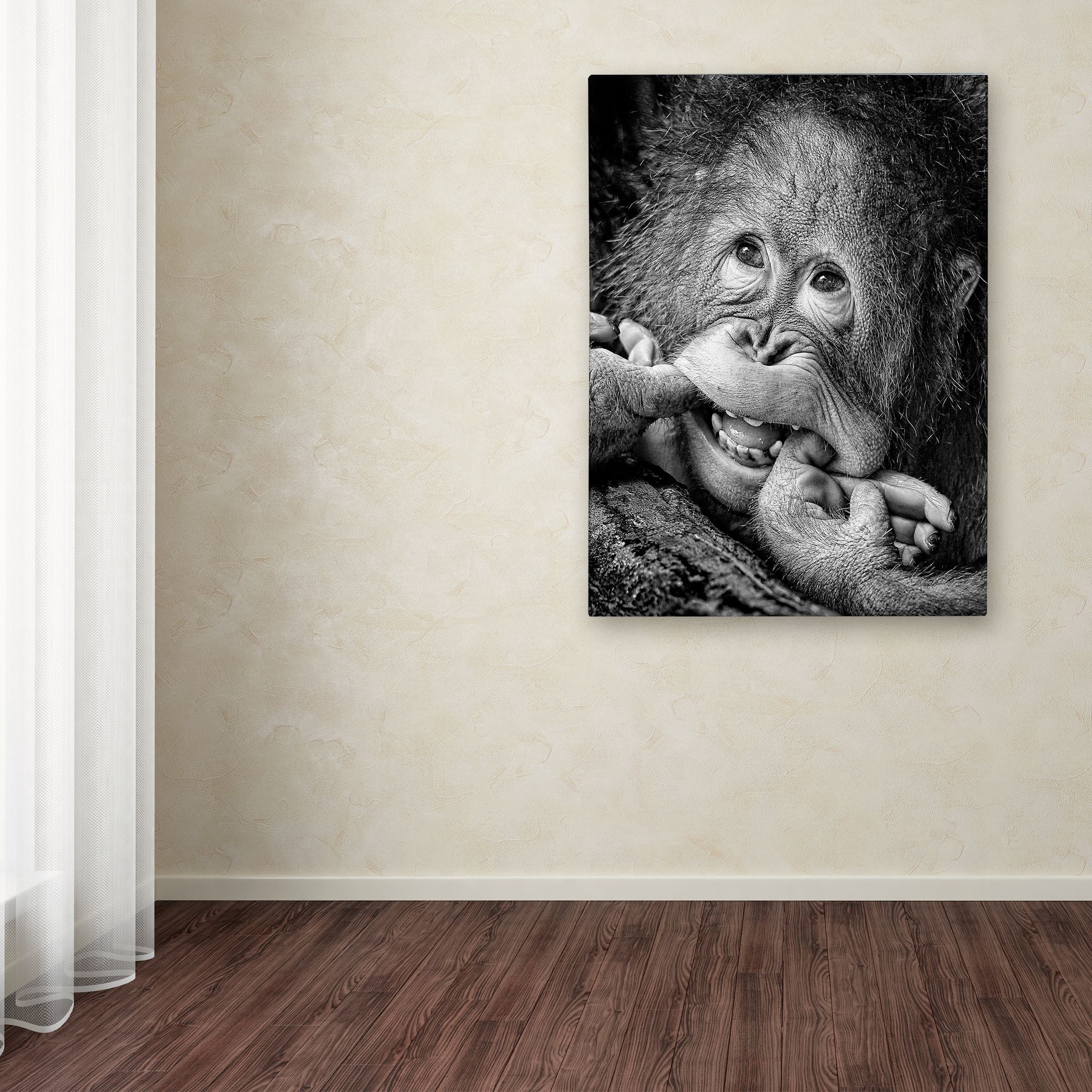 Trademark Fine Art 'Big Smile Please' Canvas Art by Angela Muliani Hartojo