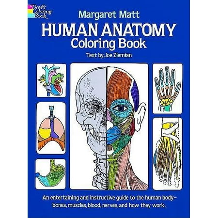 Human Anatomy Coloring Book (Paperback) (Best Human Anatomy App For Android)