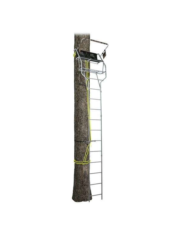 Two Man Ladder Stands in Treestands