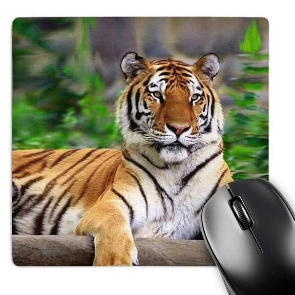3dRose, Siberian Tiger, MousePad
