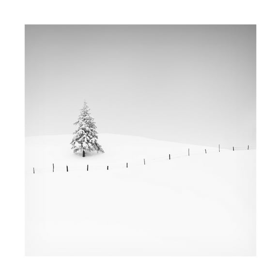 Canvas Wall Art - Alexej Schulz 'Placeholder' Wall Art for Living Room, Bedroom, or Office Décor by Trademark Fine Art - 14 x 14 Inches