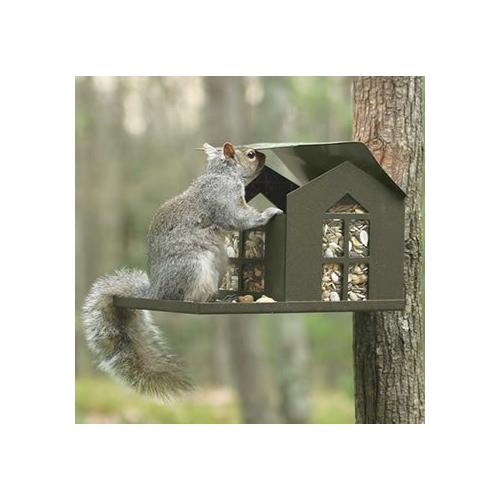 Metal Squirrel Feeder