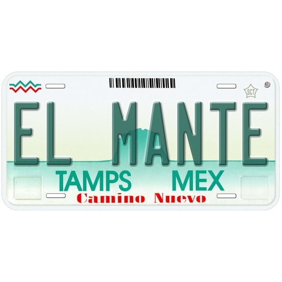 El Mante Tamaulipas Mexico Novelty Car License Plate
