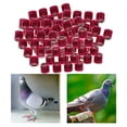 thumbnail image 4 of Paquete de 100 2022 de anillos de piezaza de de carreras de aluminio de 8 mm para polluelos de aves de corral Bantam Quail - Rosa, 4 of 7