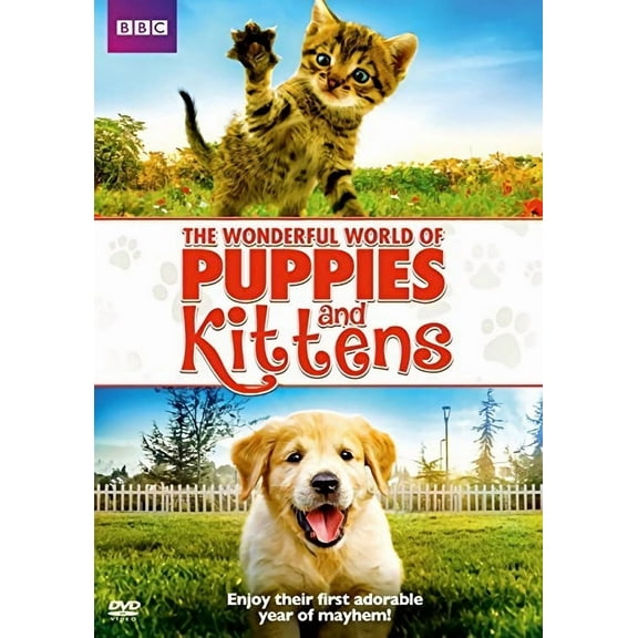 Wonderful World of Puppies & Kittens (DVD) [DVD]