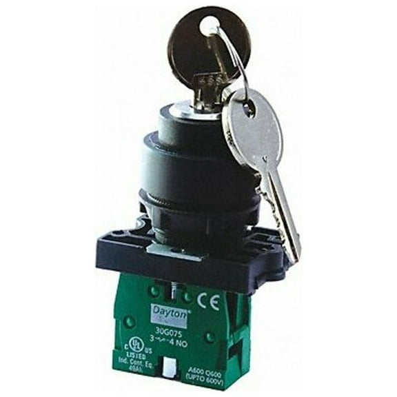 Dayton Non-Illum Selector Switch,Silver,Plastic 30G270