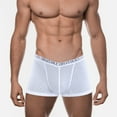 thumbnail image 4 of QIYULANC Ice Silk Men Underwear Pack Breathable Brief Mesh With Pouch Moisture-Wicking Man Underpant 3 PACK, 4 of 10