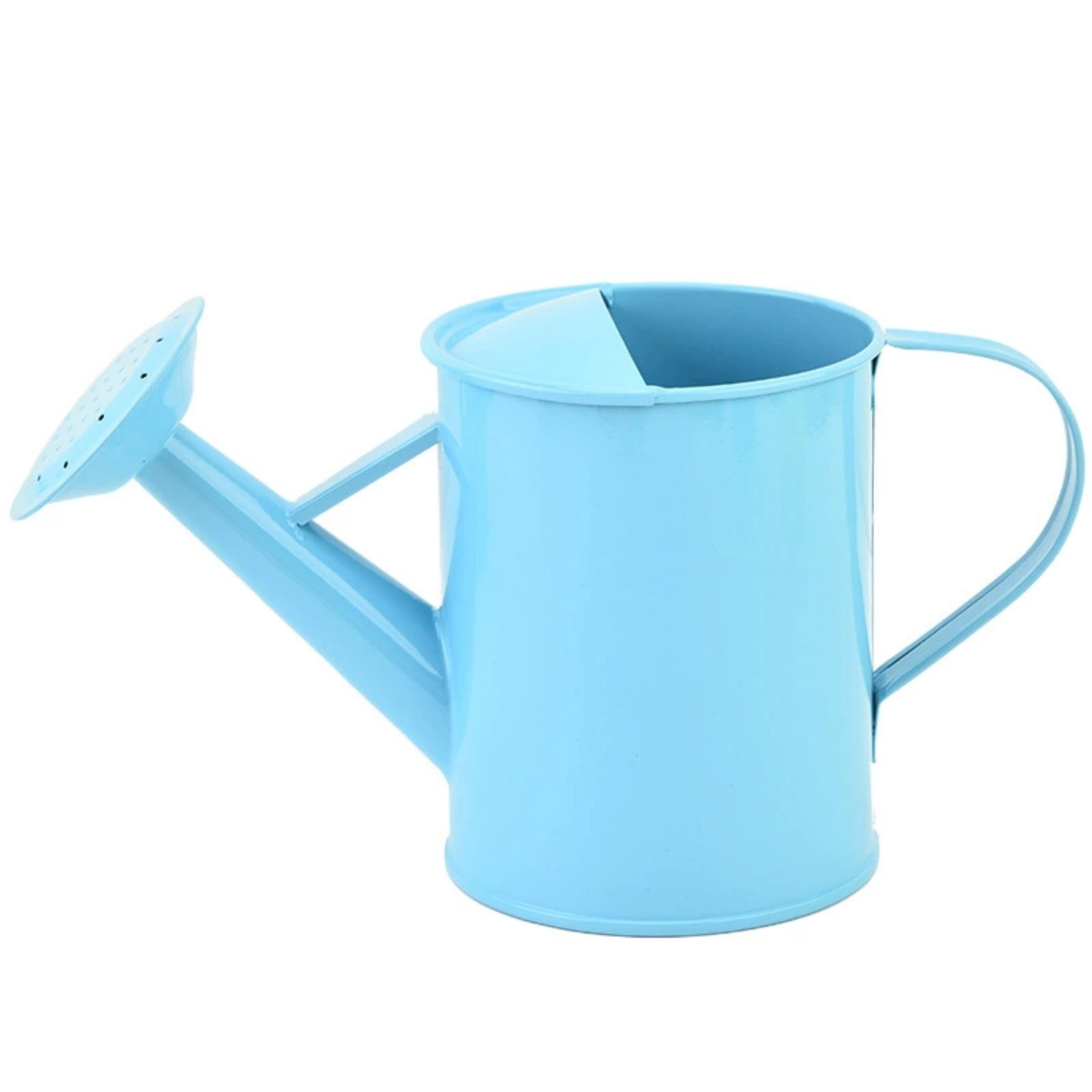 Metal Watering Can with Copper Accents, Silver Finish, One Gallon Capacity, Removable Rosette Diffuser for Gentle Watering, Rust Resistant, Garden Tool
