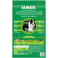 IAMS Proactive Health Minichunks Chicken and Whole Grain Recipe Dry Dog