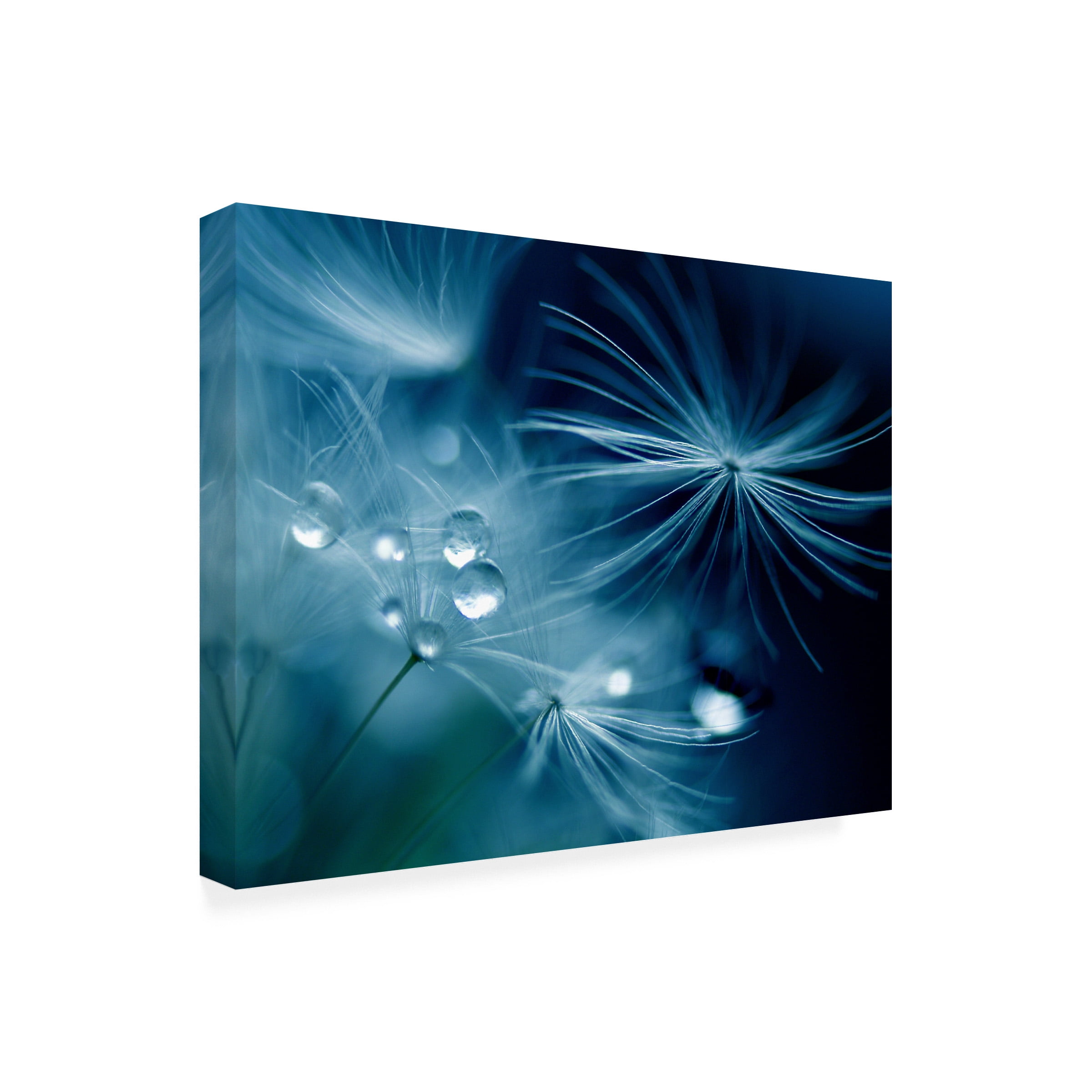 Adriana K H 'Soft Touch' Canvas Art