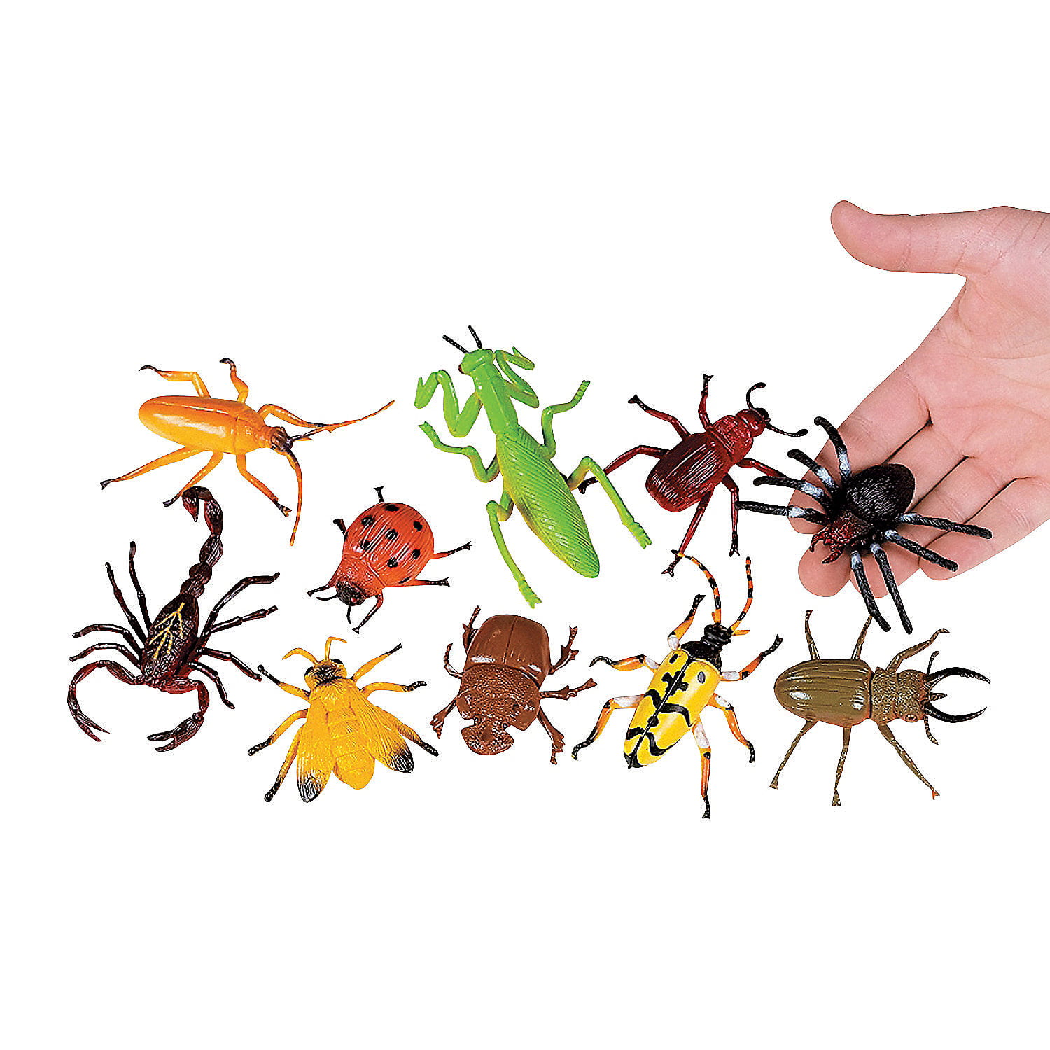 24 assorted bugs  Teacher Resource Science Learning Plastic Just Buggy Bugs 