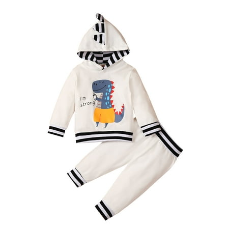 

XBTCLXEBCO 2Pcs Newborn Baby Boys Girls Winter Outfits Dinosaur Print Hooded Long Sleeve Long Pants