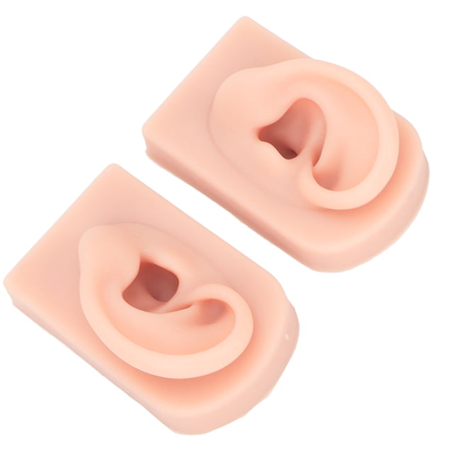 Silicone Model, Stretchy Flexible Silicone Ear Model 1 Pair For Teacher For Hospital