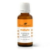 Plant Therapy Kidsafe Immune Boom Essential Oil Blend 30 mL (1 oz) 100% Pure, Undiluted, Therapeutic Grade