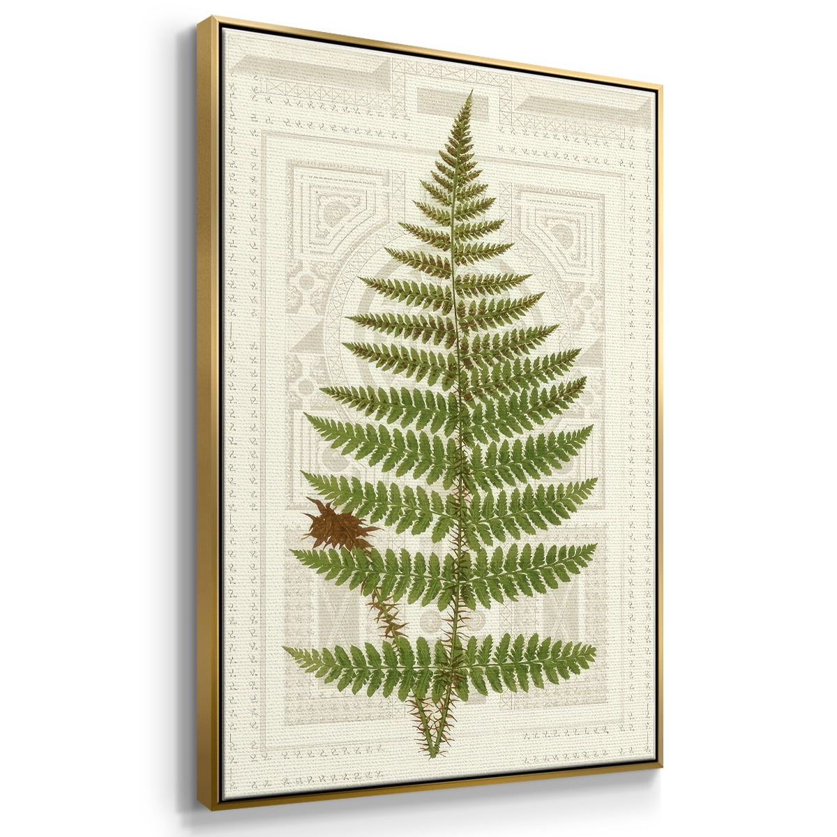 Garden Ferns V - Framed Gallery Wrapped Holiday Canvas - 17 x 25 - Gold Frame