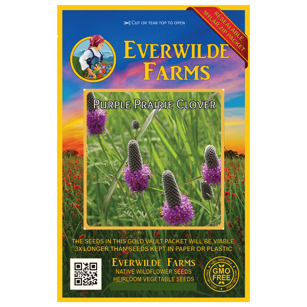Everwilde Farms 2000 Purple Prairie Clover Native Wildflower Seeds