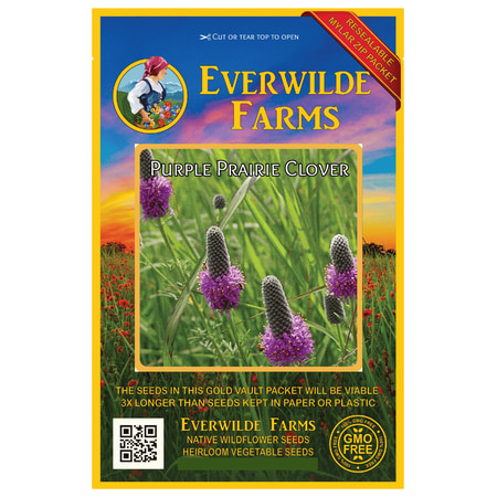 Everwilde Farms - 2000 Purple Prairie Clover Native Wildflower Seeds - Gold Vault Jumbo Bulk Seed