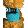 thumbnail image 5 of Snazzi Pet No Pull Adjustable Mesh Step in Dog Cat Harness Teacups XSmall Med 2-20 lb XS-XL Blue XS, 5 of 10