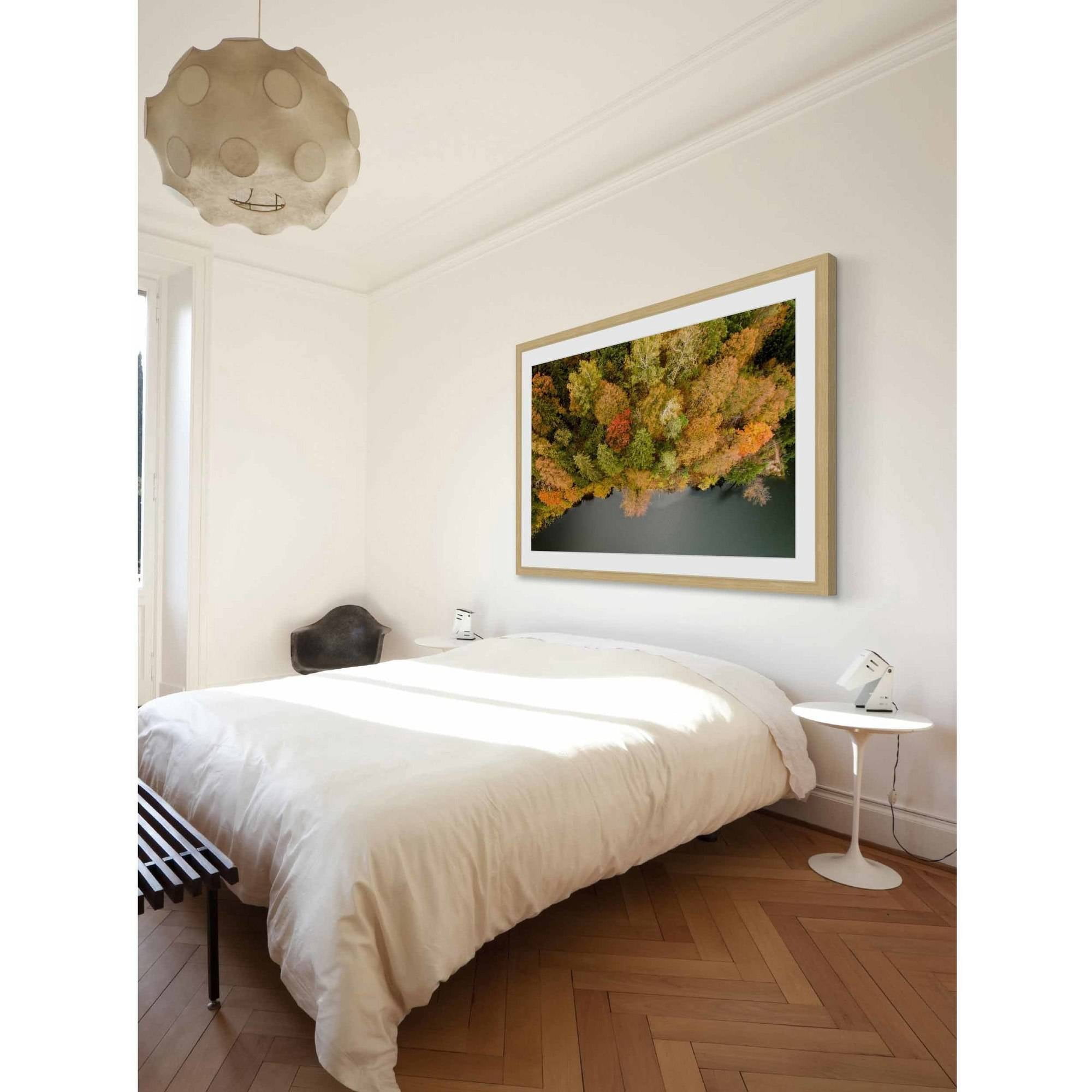 Marmont Hill "Natures Flora" By Karolis Janulis Framed Painting Art Print, 18.0" x 1.5"