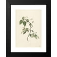 thumbnail image 2 of Alida Withoos 11x14 Black Modern Framed Museum Art Print Titled - Branch of a Redcurrant (1670 - 1715), 2 of 5