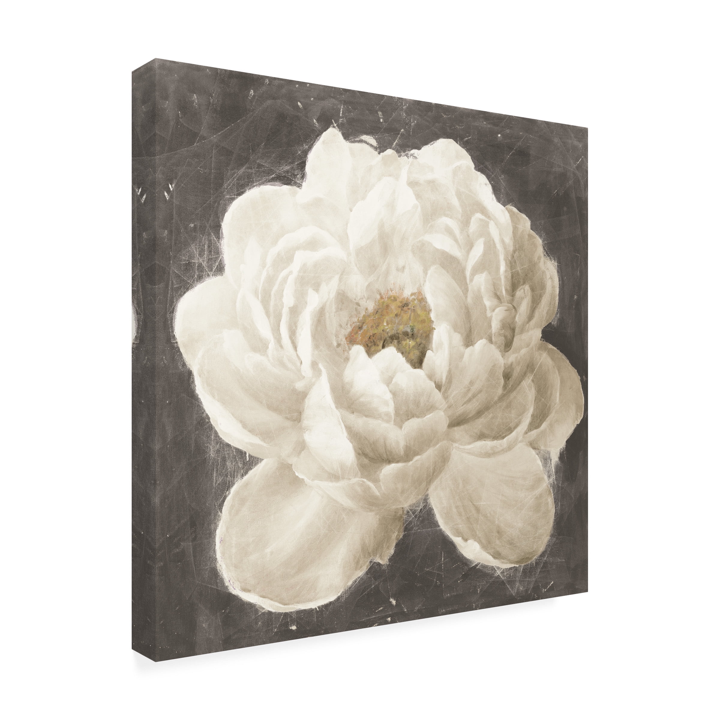 Trademark Fine Art 'Vivid Floral I White Flower' Canvas Art by Danhui Nai